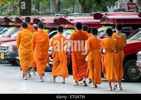 Asien. Thailand, Chiang Mai. Junge buddhistische Mönche in ihren Morgen Prozession für Angebote von Lebensmitteln Stockfoto