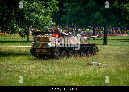 Tennessee, USA. 13. Juni 2015. Eine Nachstellung der Invasion in der Normandie trat beim Secret City Festival in Oak Ridge, Tennessee. Bildnachweis: Marc Griffin/Alamy Live-Nachrichten Stockfoto