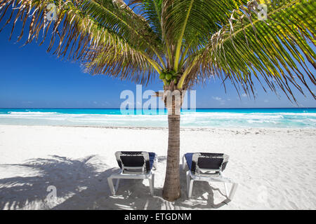 Zwei Strandliegen unter Palme am karibischen Strand Stockfoto