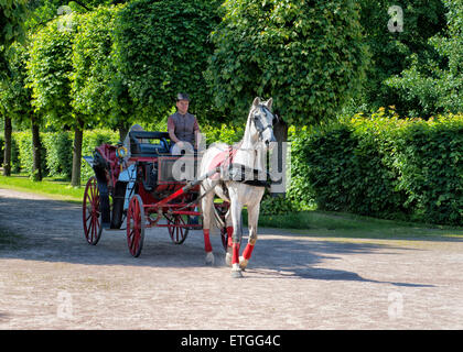 Hochzeitszeremonie im Kuskovo-Park in Moskau, Russland Stockfoto