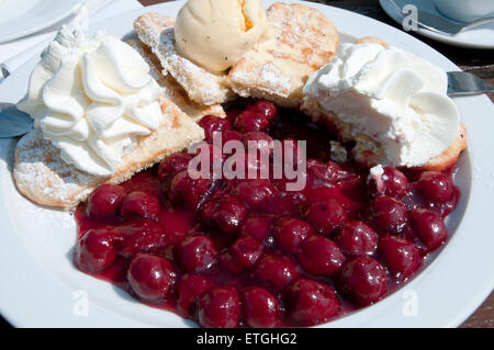Dessert-Waffel mit heißen Kirschen, Vanille-Eis-Würfel und Sahne in einem Cafe Deutschland Europa Stockfoto