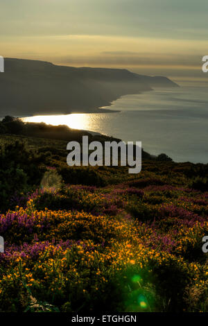 Blick vom Bossington Hügel, Teil des Anwesens National Trust Holnicote Porlock Bay, Somerset England UK Europe Stockfoto