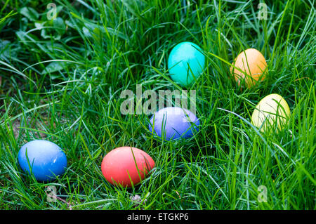 Bunte Ostereier versteckt in einer Rasenfläche Stockfoto