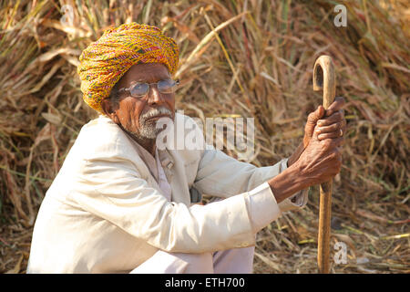 Portarit Rajasthani Mann in weißen Kleidern und bunten Turban, Pushkar, Rajasthan, Indien Stockfoto