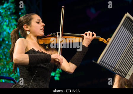 Geiger spielt auf der Bühne Hay Festival 2015 Stockfoto