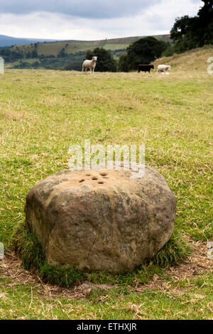 Großbritannien, England, Derbyshire, Eyam, Grenzstein über Stoney Middleton, mit Löchern für Pest Dorfbewohner Geld Stockfoto