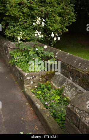 Großbritannien, England, Derbyshire, Eyam, Church Street, die jemals Ende Tröge, neben dem Schaf Braten Stockfoto