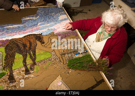 Großbritannien, England, Derbyshire, Eyam, freiwillige Bau der Beschlagnahmungen von Pferden 2014 gut kleiden Stockfoto