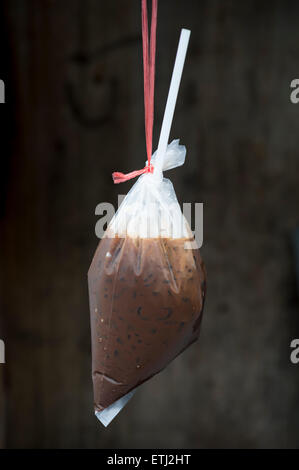 Frischen traditionellen Thai-Stil Eiskaffee mit Kondensmilch in einem handlichen Plastikbeutel mit einem Strohhalm serviert Stockfoto