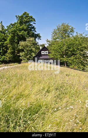 hölzernes Haus zwischen den Bäumen in der Nähe von Filipka Hügel in Slezske Beskydy Bergen Stockfoto