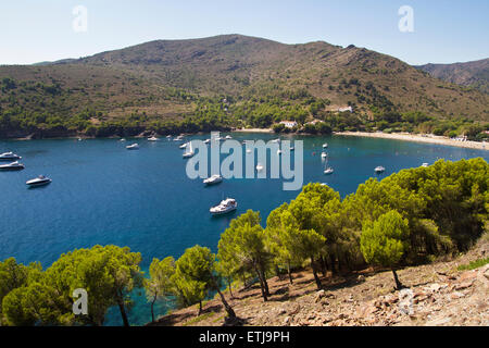 Cala Montjoi (Montjoi Strand). Rosen. Stockfoto