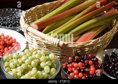 Ein Korb mit Rhabarber, umgeben von Schüsseln mit Kirschen und Beeren Stockfoto