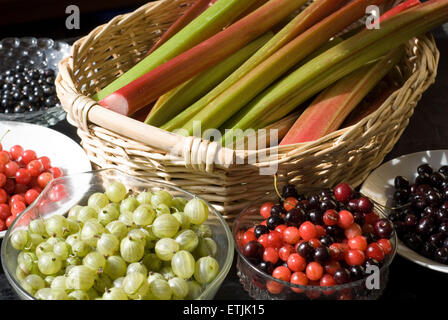 Ein Korb mit Rhabarber, umgeben von Schüsseln mit Kirschen und Beeren Stockfoto