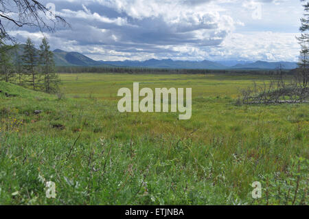 Nordischen Landschaft. Sumpfige Ebene unter dem blauen Himmel mit seltenen Bäumen und Bergen am Horizont. Stockfoto