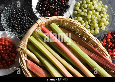 Ein Korb mit Rhabarber, umgeben von Schüsseln mit Kirschen und Beeren Stockfoto