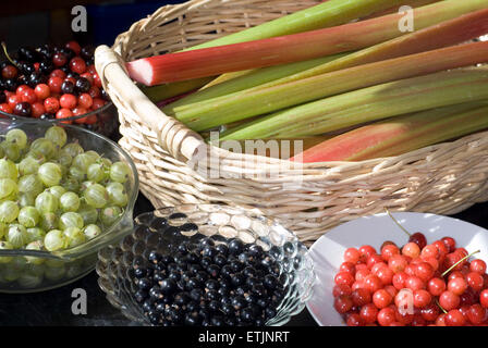 Ein Korb mit Rhabarber, umgeben von Schüsseln mit Kirschen und Beeren Stockfoto