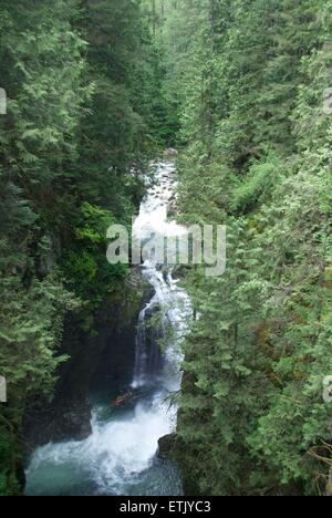 Wasserfall bei Lynn Valley canyon Stockfoto