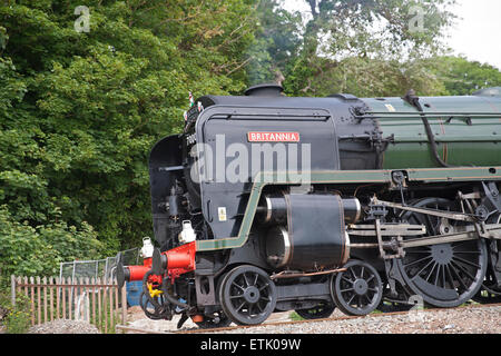 Dawlish Warren, UK. 14. Juni 2015. Britannia, Torbay Express Dampf Zug durchläuft Dawlish Warren. Bildnachweis: Keith Larby/Alamy Live-Nachrichten Stockfoto