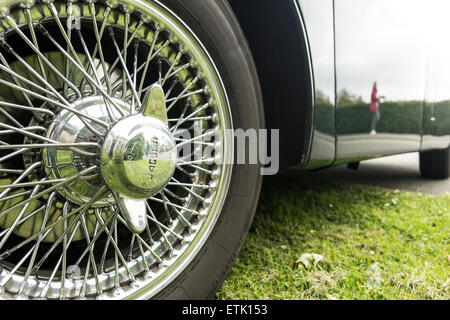 Blackpool, UK. 14. Juni 2015. Die 53. Manchester nach Blackpool-Rallye kommt im Stil im Stanley Park Blackpool, mit vielen schönen Oldtimer mit wunderbaren Grills und Kurven und Linien Credit: Gary Telford/Alamy live-Nachrichten. Stockfoto