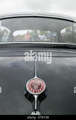 Blackpool, UK. 14. Juni 2015. Die 53. Manchester nach Blackpool-Rallye kommt im Stil im Stanley Park Blackpool, mit vielen schönen Oldtimer mit wunderbaren Grills und Kurven und Linien Credit: Gary Telford/Alamy live-Nachrichten. Stockfoto