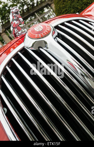 Blackpool, UK. 14. Juni 2015. Die 53. Manchester nach Blackpool-Rallye kommt im Stil im Stanley Park Blackpool, mit vielen schönen Oldtimer mit wunderbaren Grills und Kurven und Linien Credit: Gary Telford/Alamy live-Nachrichten. Stockfoto