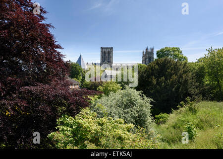 York Minster Stockfoto