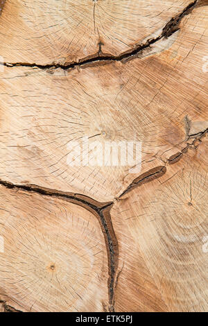 Stapel von neuen hölzernen Stollen auf dem Holzplatz Stockfoto