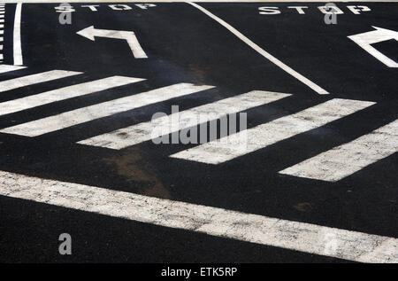 Fuerteventura, Kanarische Inseln. Stopp-Schilder, Pfeile und ein Fußgängerüberweg auf eine asphaltierte Straße. Stockfoto