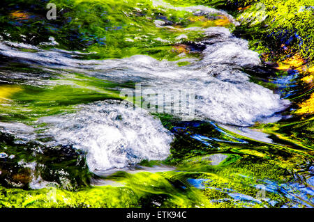 Waldbach fließt über grün bemoosten Felsen, aufgenommen mit einer langen Verschlusszeit um zu betonen, die Bewegung des Wassers Stockfoto