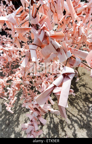 Der Heian-Schrein in Kyoto. Nahaufnahme von Pink Omikuji, Pech Papers, gefesselt und auf dem Zweig des kleinen Baums gelassen. Viel Glück wird man nach Hause nehmen. Stockfoto