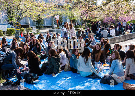 Maruyama-Park in Kyoto. Große Gruppe junger Frauen, die unter den Kirschblüten auf blauen Plastikblättern sitzen und Party haben, die meisten betrachten Zuschauer. Stockfoto