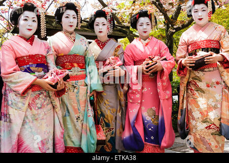 Japan, Kyoto. Fünf japanische Geisha, Geiko, mit pinkfarbenem und cremefarbenem Kimono, posieren im Frühling draußen unter einigen Bäumen. Stockfoto