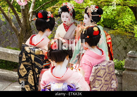 Japan, Kyoto. Gruppe japanischer Geisha, Geiko, mit Kimono, draußen im Frühling bei Sonnenschein und bewundern die Kirschblüten. Stockfoto