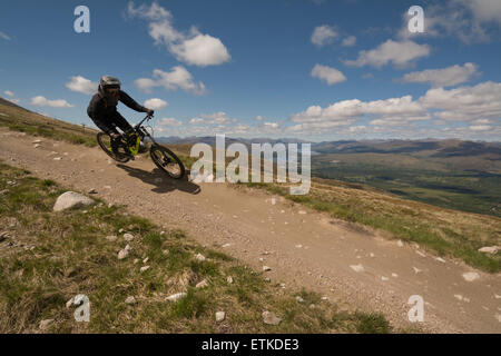 Nevis Range, Aonach Mor, Fort William, Schottland, UK: 14. Juni 2015. UK-Wetter.  Downhill Mountainbiker, die das Beste aus einem schönen sonnigen Tag in den schottischen Highlands fahren die orange 2,82 km extreme Strecke, die am vergangenen Wochenende für die zweite verwendet wurde Runde von der UCI Mountain Bike World Cup Kredit: Kay Roxby/Alamy Live News Stockfoto