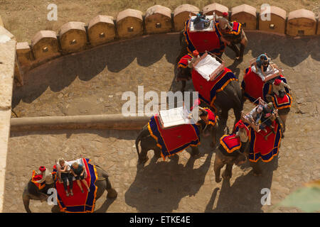 Elefantenreiten für Touristen auf dem Weg bis zum Amber Fort, Amer, Jaipur, Rajasthan, Indien Stockfoto