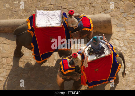 Elefantenreiten für Touristen auf dem Weg bis zum Amber Fort, Amer, Jaipur, Rajasthan, Indien Stockfoto