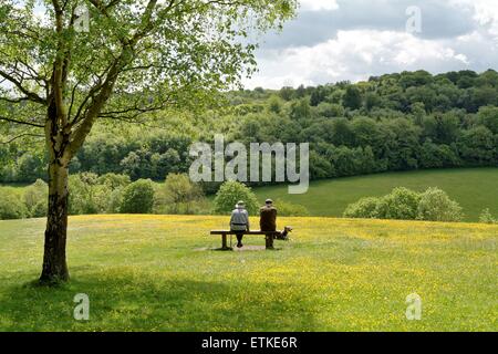 Älteres Ehepaar sitzt auf der Bank an Ranmore gemeinsamen Surrey Stockfoto