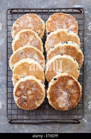 Walisische Kuchen oder Welshcakes (oder Bilder) - eine traditionelle Delikatesse in Wales Stockfoto