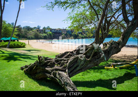 Touristen genießen den Strand und Wasser, Kaua'i Marriott Resort; Kalapaki Bay, Kaua ' i, Hawaii, USA Stockfoto