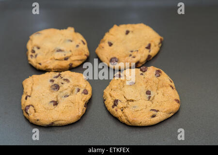 Frisch gebackene Schokoladenkekse auf ein Backblech Stockfoto