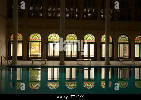 Das Schwimmbad im Lallgarh Palace Heritage Hotel, Bikaner, Rajasthan, Indien Stockfoto