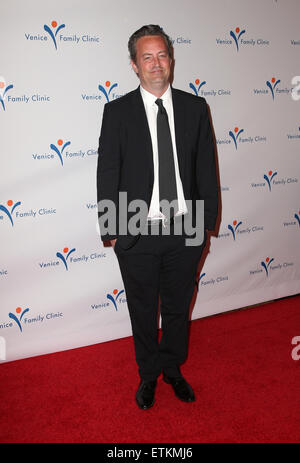 Venedig Familie Klinik 33rd jährlichen Silver Circle Gala im Beverly Wilshire Four Seasons Hotel mit: Matthew Perry wo: Los Angeles, California, Vereinigte Staaten von Amerika bei: Kredit-9. März 2015: FayesVision/WENN.com Stockfoto