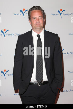 Venedig Familie Klinik 33rd jährlichen Silver Circle Gala im Beverly Wilshire Four Seasons Hotel mit: Matthew Perry wo: Los Angeles, California, Vereinigte Staaten von Amerika bei: Kredit-9. März 2015: FayesVision/WENN.com Stockfoto