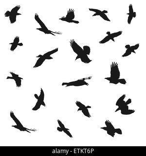 Vektor-Illustration der Adler fliegen Silhouetten. Vorstellungen von Eleganz, Kraft und Freiheit. Stock Vektor