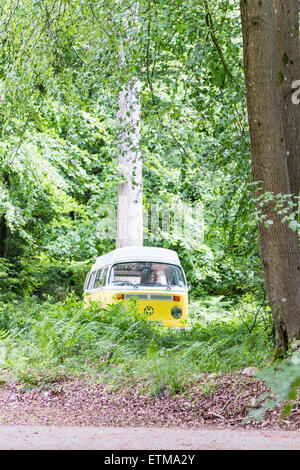 VW Camper versteckt in den Bäumen Stockfoto