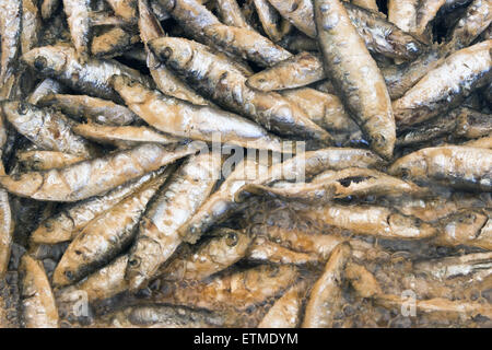 Gegrillte Sardinen in heißem Öl Stockfoto