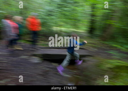 Ein kleiner Junge springt über einen kleinen Bach im Wald südlich von Sheffield, England UK. Stockfoto