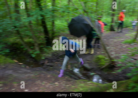 Ein kleiner Junge springt über einen kleinen Bach im Wald südlich von Sheffield, England UK. Stockfoto