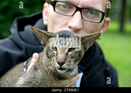 Closeup Portrait Mann mit seiner Katze Stockfoto