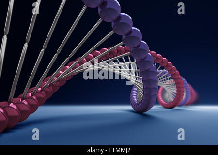 Stilisierte Darstellung der Stränge der menschlichen DNS, Desoxyribonukleinsäure. Stockfoto